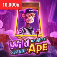 Trò chơi Sicbo và Dragon Tiger tại SHBET5